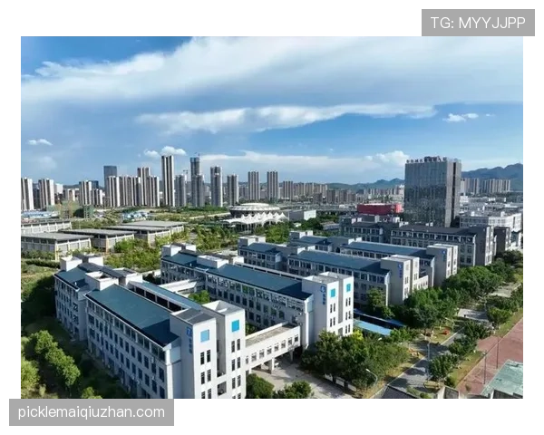 比赛规则全面拆解：关键条款与常见误区一次看懂